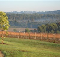 Paradigm Hill - Stayed