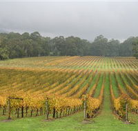 Boat O'Craigo Wines - Stayed