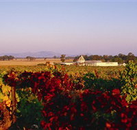 Morris Wines - Stays Accommodation