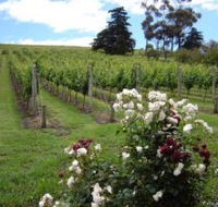 Pembroke Estate Vineyard - Stayed