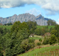 Lake Barrington Vineyard - Stayed