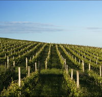 Delamere Vineyard - Stays Accommodation