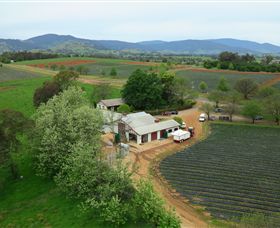 Schmidts Strawberry Winery - Stayed 0