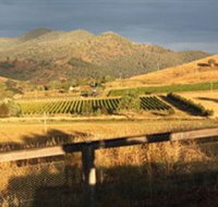 Optimiste Wines - Stayed