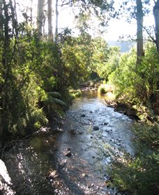 Little River Wines Of Taggerty - Stayed 5