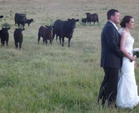 Athol Gardens - Stayed 2