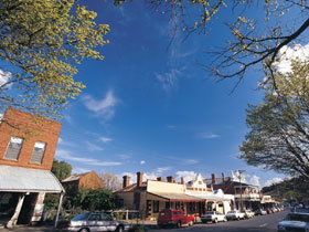 Drysdale Cheeses - Stayed 1