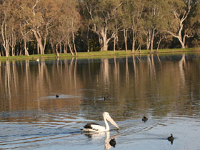 Drysdale Cheeses - Stayed 7