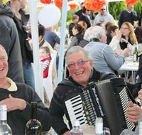 Politini Wines - Stayed