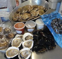 Advance Mussel Supply - Stayed
