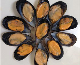 Advance Mussel Supply - Stayed 3