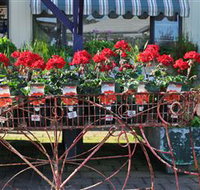 Van Loon's Nursery - Stayed