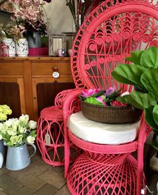 Van Loon's Nursery - Stayed 3