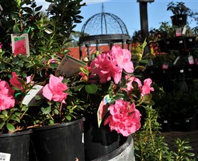 Van Loon's Nursery - Stayed 1