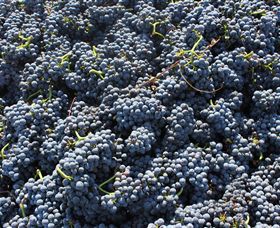 Punt Road Winery - Stayed 6