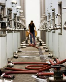 Punt Road Winery - Stayed 5