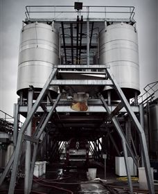 Punt Road Winery - Stayed 8