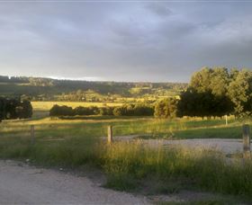 The Limits QLD Stayed