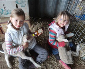 Bathurst Farm Experience - Stayed 4