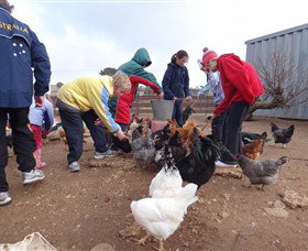 Bathurst Farm Experience - Stayed 2