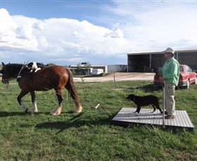 Bathurst Farm Experience - Stayed 7