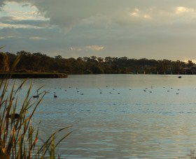 Lake Inverell Reserve - Stayed 0