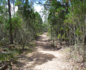 Goonoowigall State Conservation Area - Stayed 1