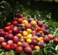 Rayner's Orchard - Stayed