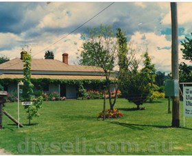Tumut Valley Violets - Stayed 0