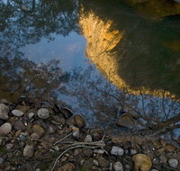 Abercrombie Karst Conservation Reserve - Stayed