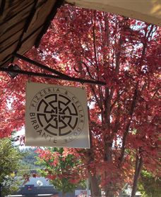 Billy Button Wines - Stayed 3