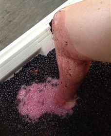 Billy Button Wines - Stayed 4