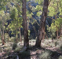 Mount Gray walking track - Stays Accommodation