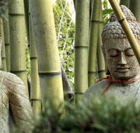 Zen Beauty Spa - Stays Accommodation
