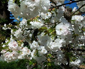 Beleura The House And Garden - Stayed 1