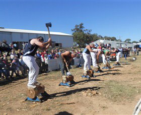Quirindi Rural Heritage Village - Stayed 1