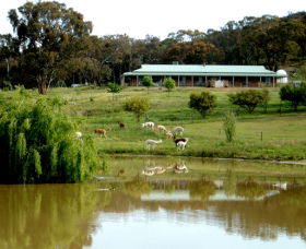 Clearview Alpacas - Stayed 0