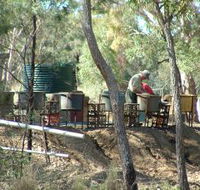7 Oaks Sapphire Fossicking - Stayed