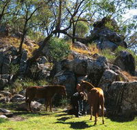 Coomba Falls - Stayed