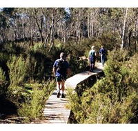 Hume and Hovell Walking Track - Henry Angel Trackhead - Stayed
