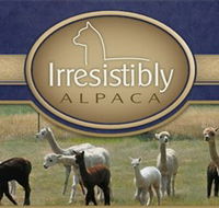 Marchmont Park Alpacas - Stayed