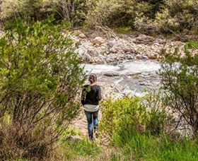 Old Mountain Road Walking Track - Stayed 1