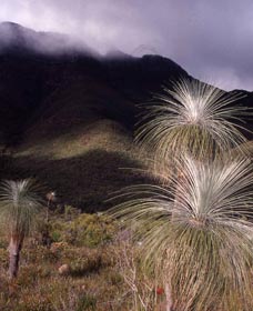 Bluff Knoll, Stirling Range National Park - Stayed 3