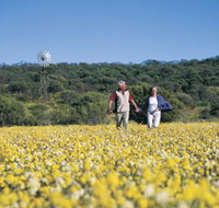 Koolanooka Springs - Stayed