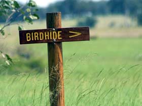 Wilkesdale ACT Stayed