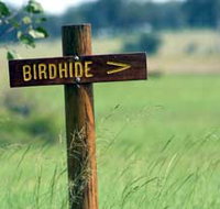 Wooroolin Wetland - Stayed