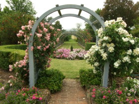 Harrow Gardens - Stayed 2