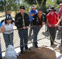 Fossil Rock - Stayed