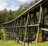 Noojee Trestle Bridge - Stayed