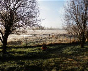Jannei Artisan Cheese Makers - Stays Accommodation 2